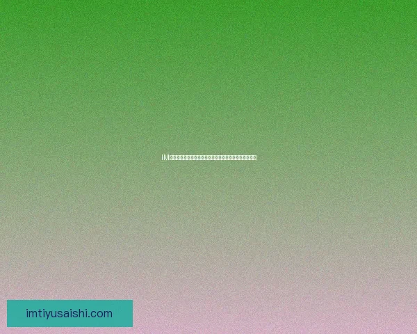 IM体育投注全面解析：玩法技巧策略与最新赛事动态全指南