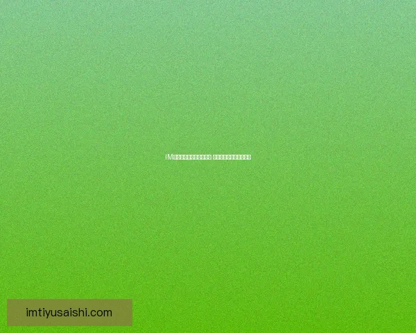 IM体育与万博体育综合对比 哪个平台更适合您的需求