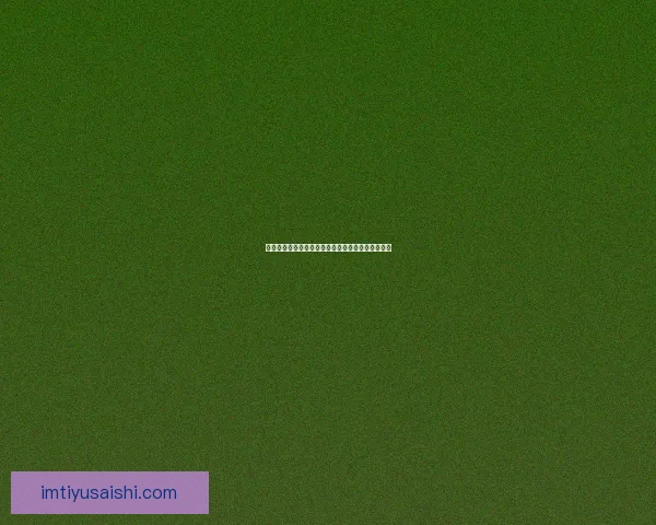 美加墨世界杯最新竞猜平台全面解析与投注技巧指南